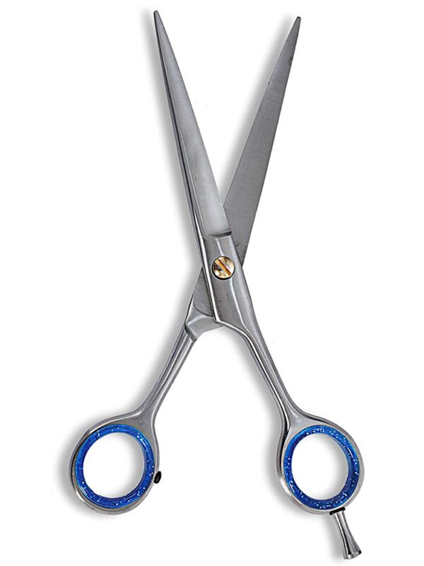Hair Scissors